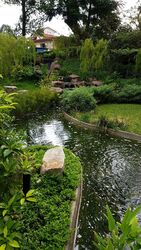 The Creek @ Bukit (D21), Condominium #433405811